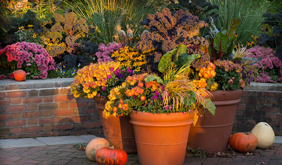 Fall Container Planting Inspiration Reston Farm Garden Market