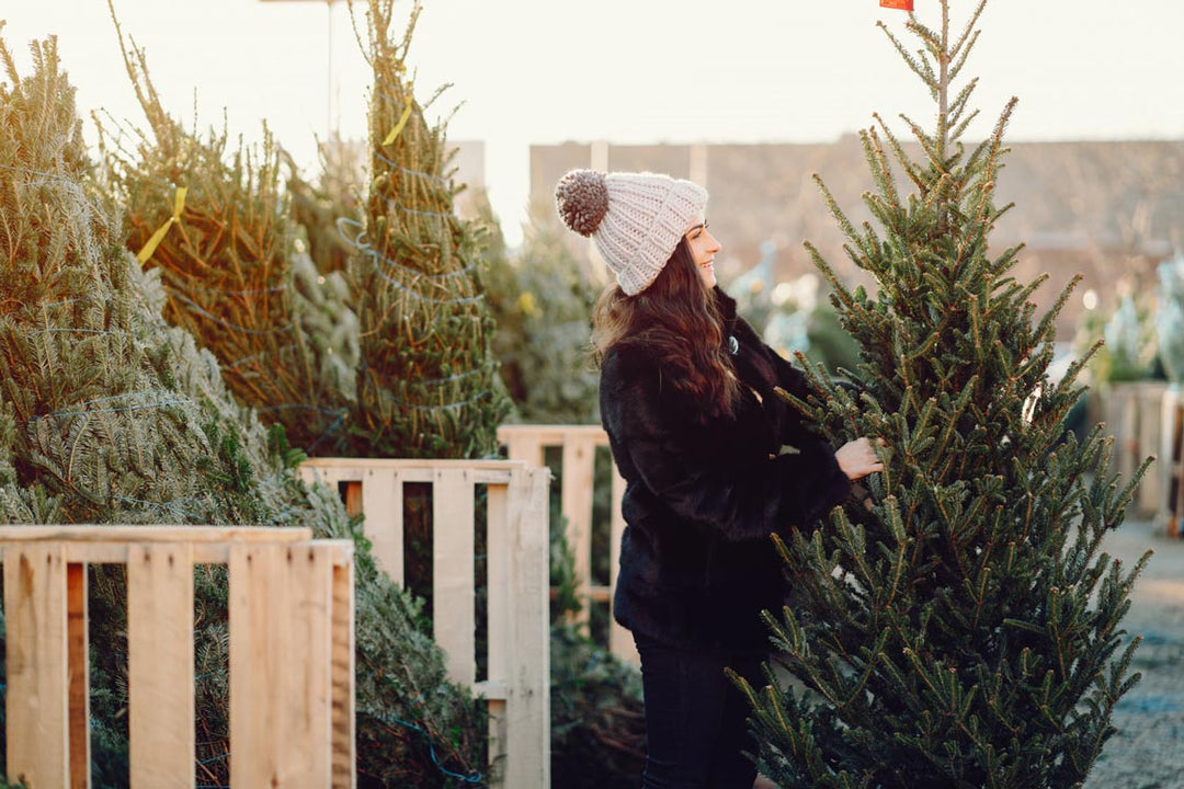 5 Tips for Picking the Perfect Christmas Tree