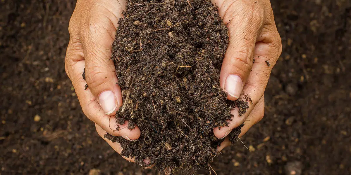 The benefits of composting for healthy garden soil