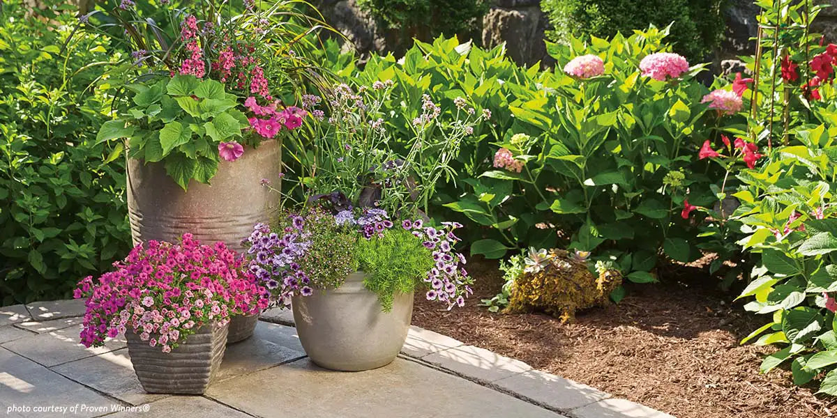Container Scaping Ideas