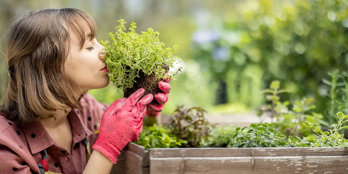 Herb Gardening