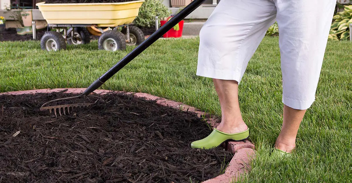 Answers to your mulch questions