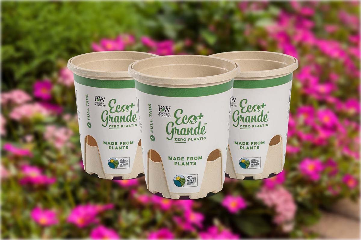 Proven Winners Eco+ Compostable Pots