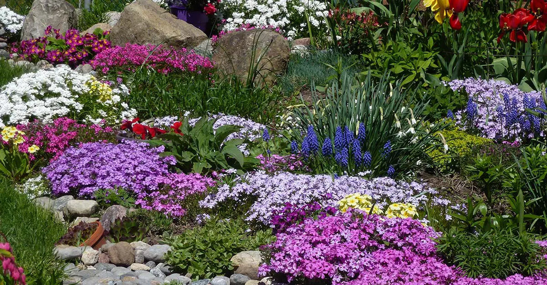 Planning your garden for year-round interest
