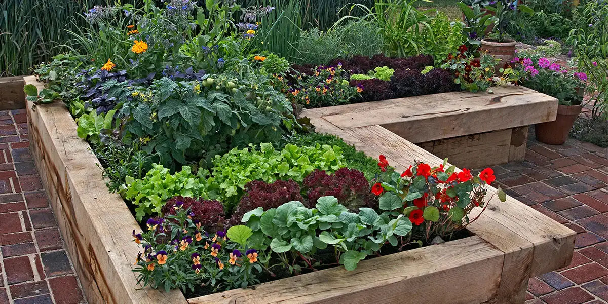 Herbs, veggies and flowers in a raised bed