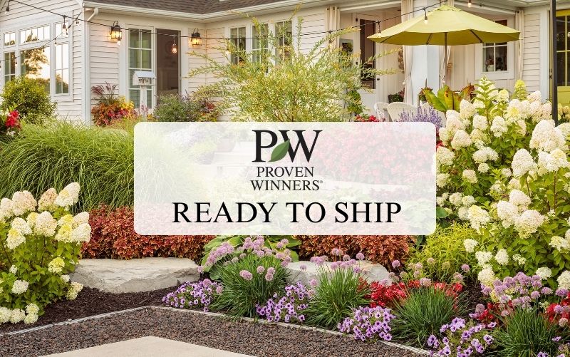 Ready to Ship PW