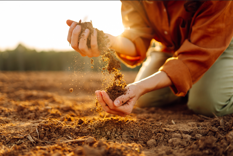 Soil