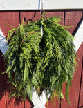 Cedar Garland