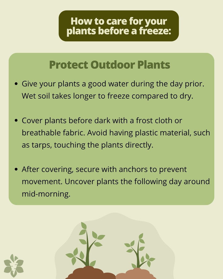 Harvest Guard- Protective Garden Cover