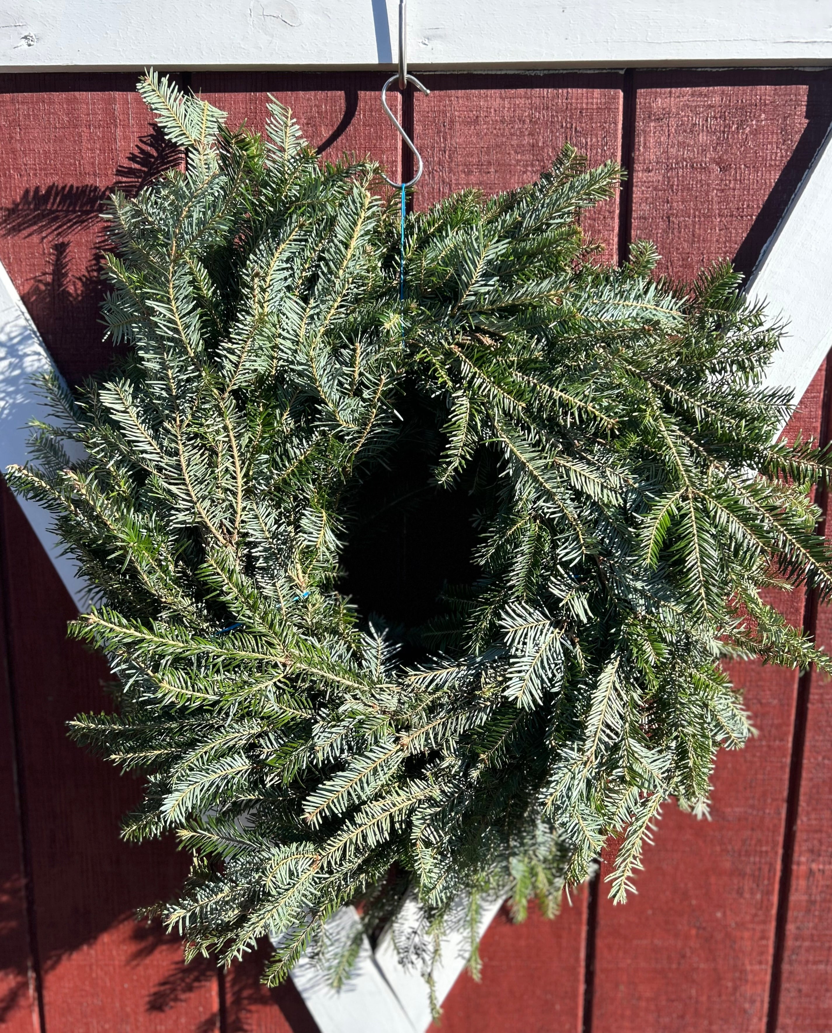 Fraser Fir Garland