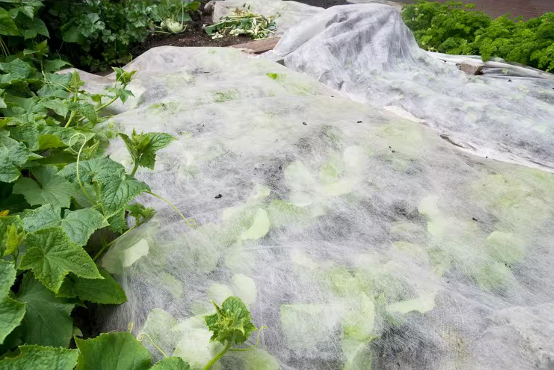 Harvest Guard- Protective Garden Cover