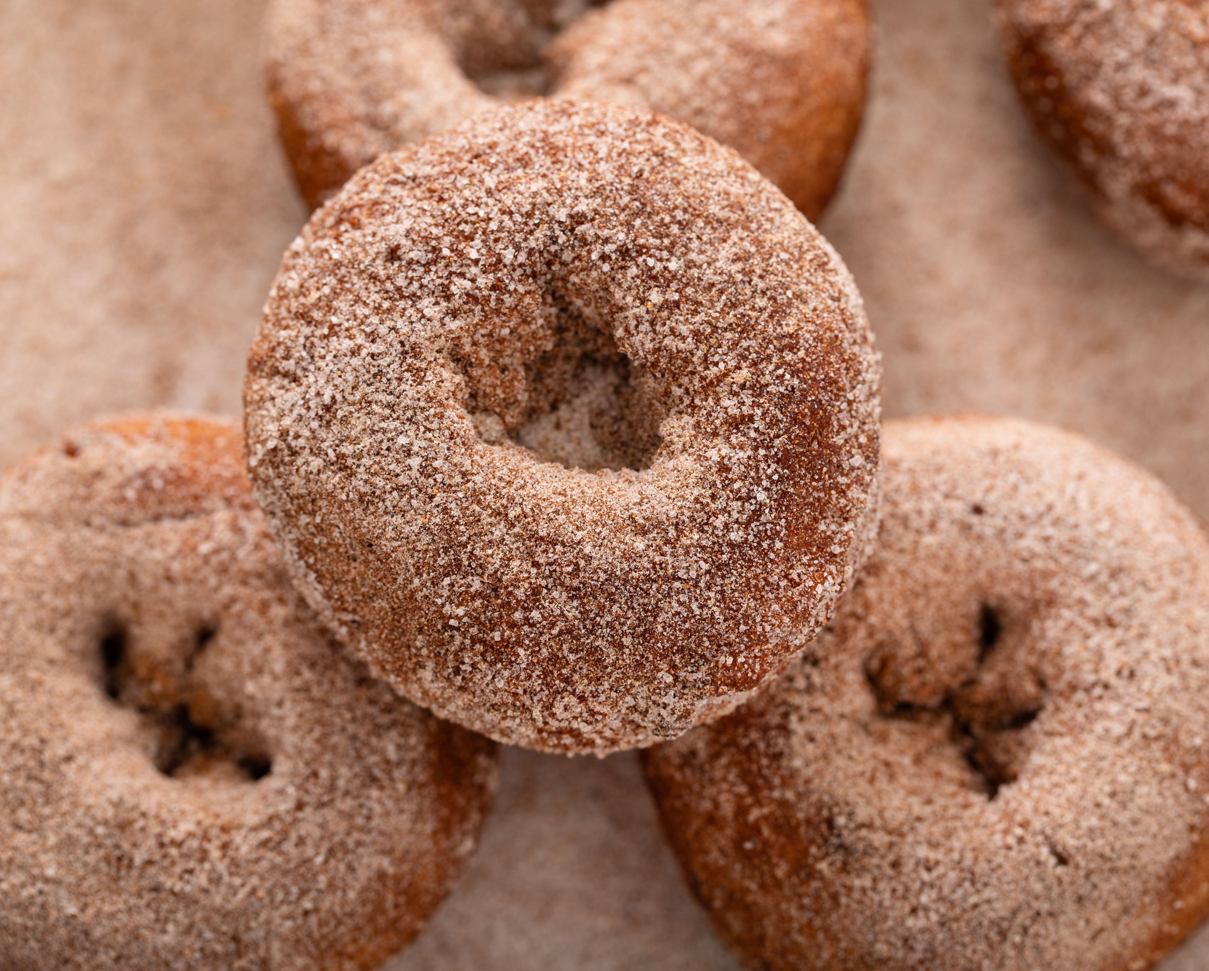 Fresh-Baked Donuts: Blueberry, 1/2 Dozen