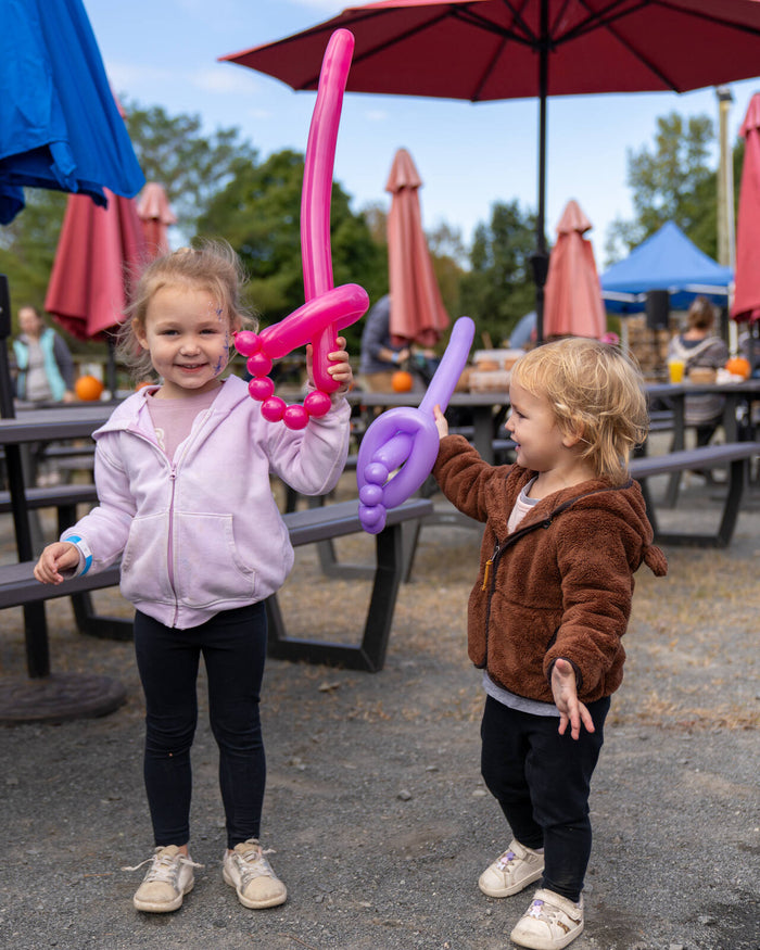 Fall at Reston Farm Garden Market