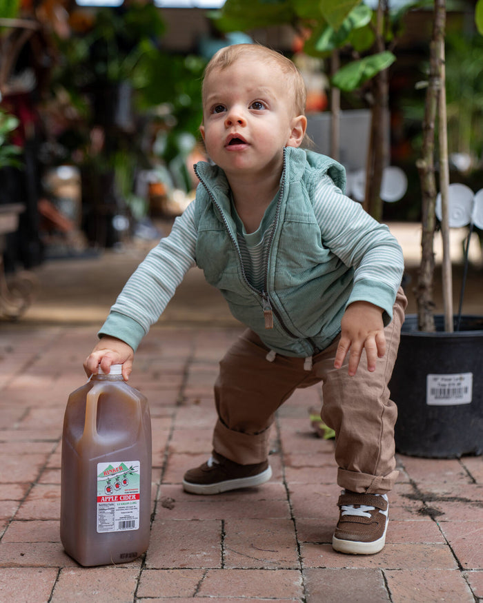 Fall at Reston Farm Garden Market