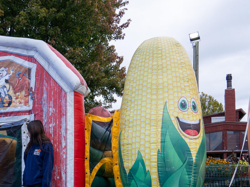 The corn maze