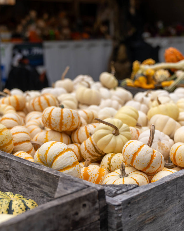 Fall at Reston Farm Garden Market