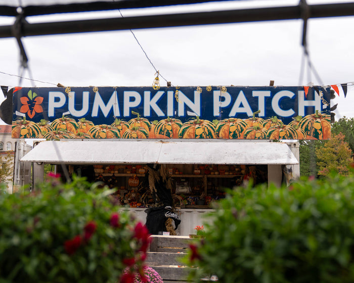 Fall at Reston Farm Garden Market