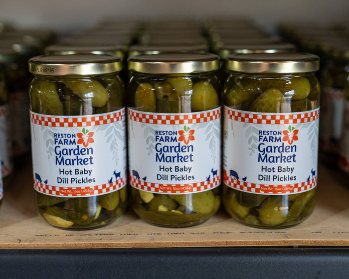Fall at Reston Farm Garden Market