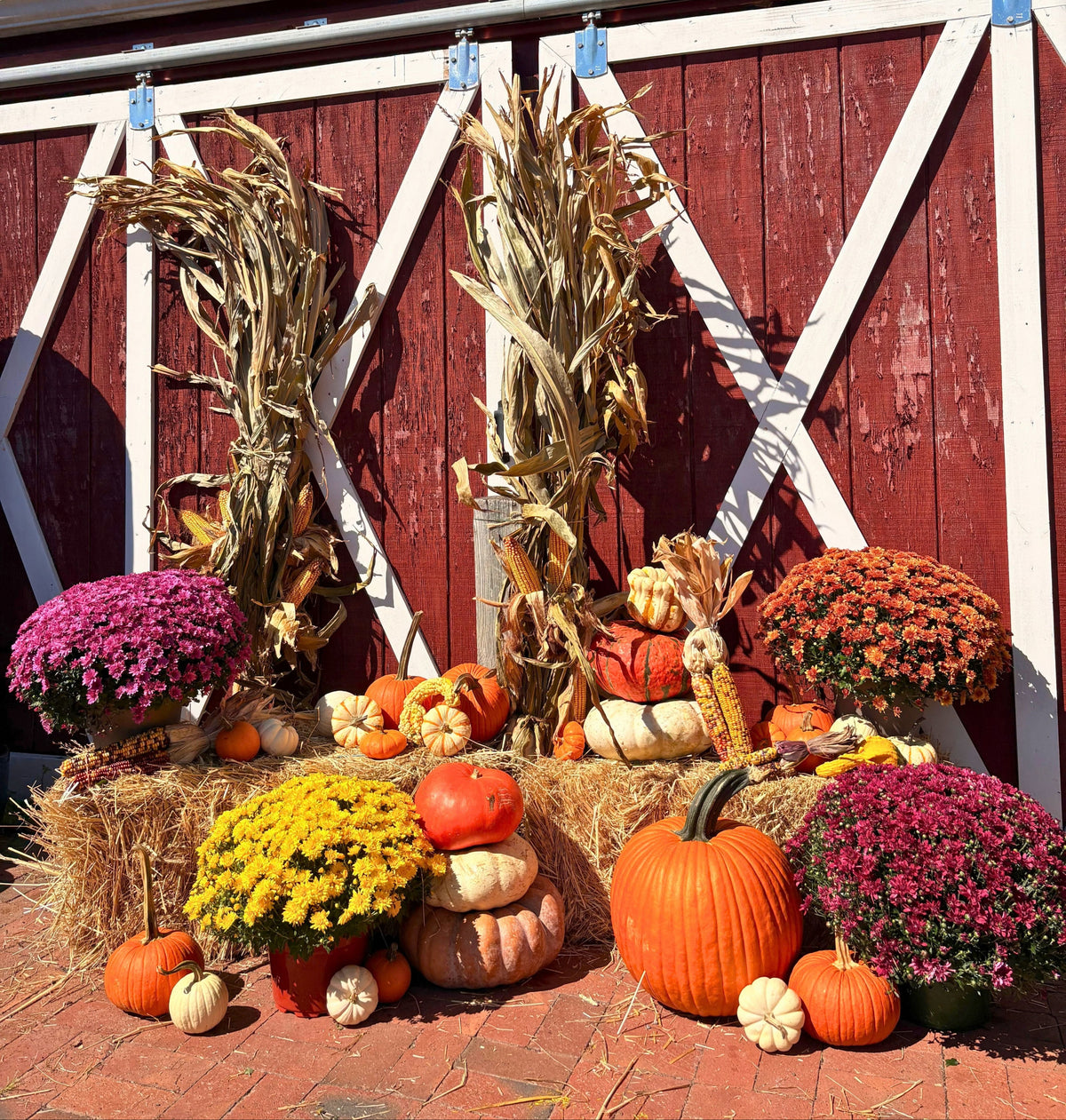 Gold Porch Package