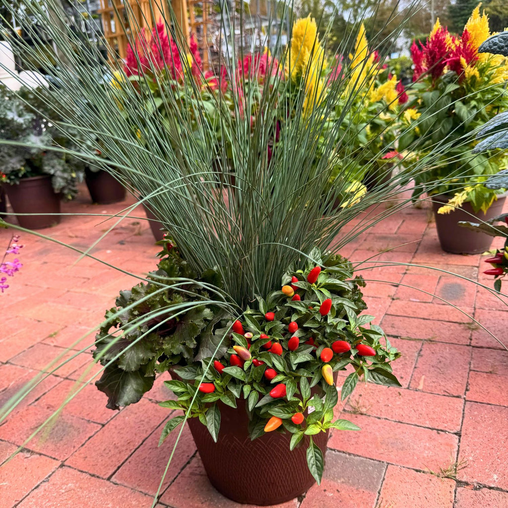 12in Fall Combo, Grass Centerpiece