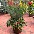 12in Fall Combo, Grass Centerpiece