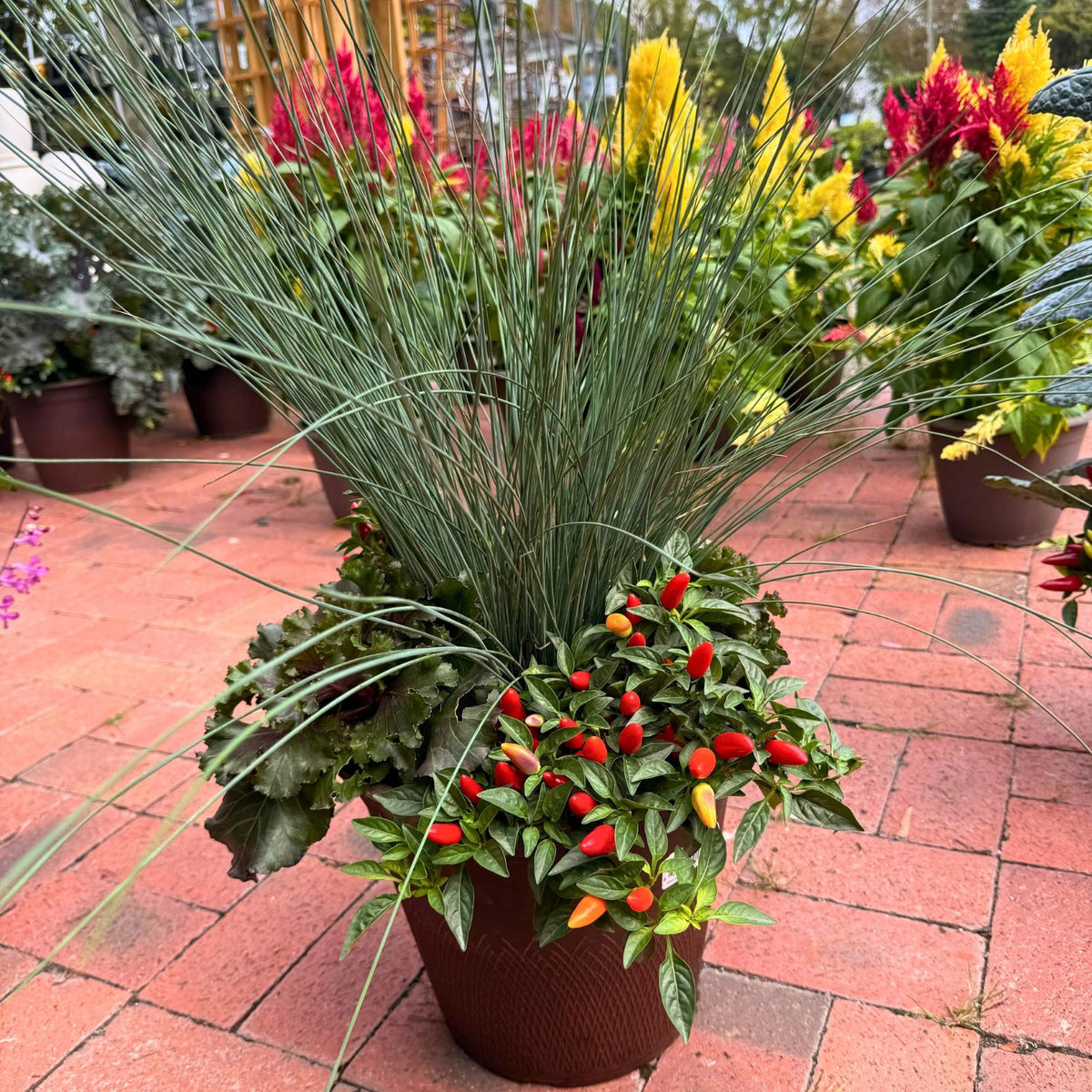 12in Fall Combo, Grass Centerpiece