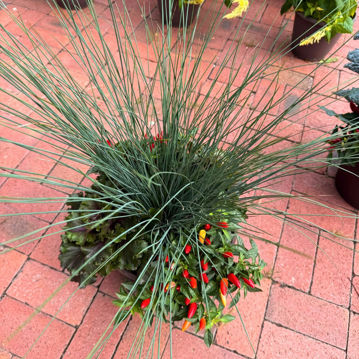 12in Fall Combo, Grass Centerpiece