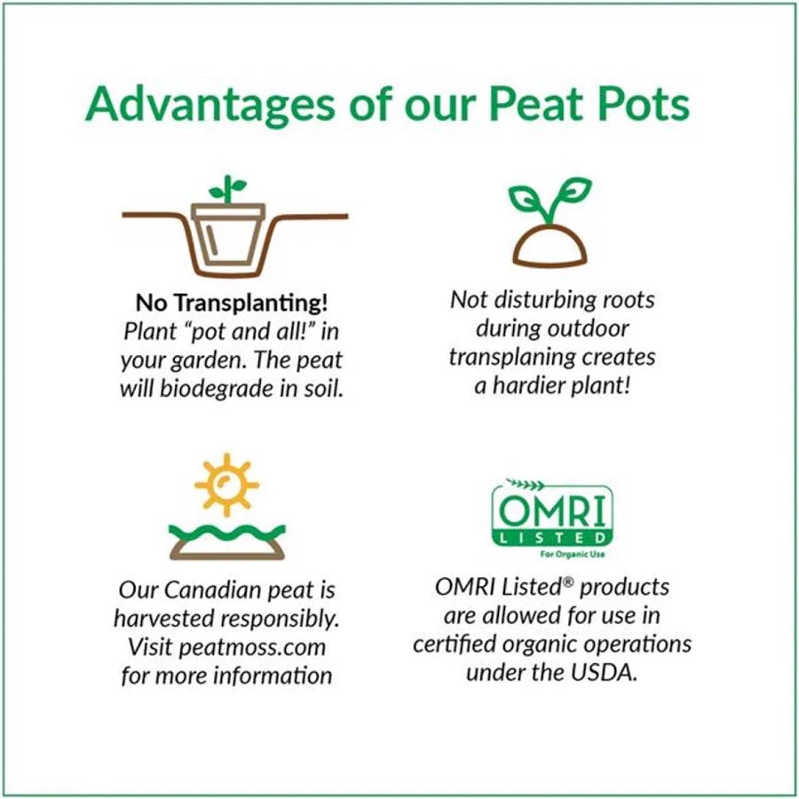 Jiffy 3in Biodegradable Peat Pot 10 pk