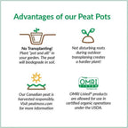 Jiffy 3in Biodegradable Peat Pot 10 pk