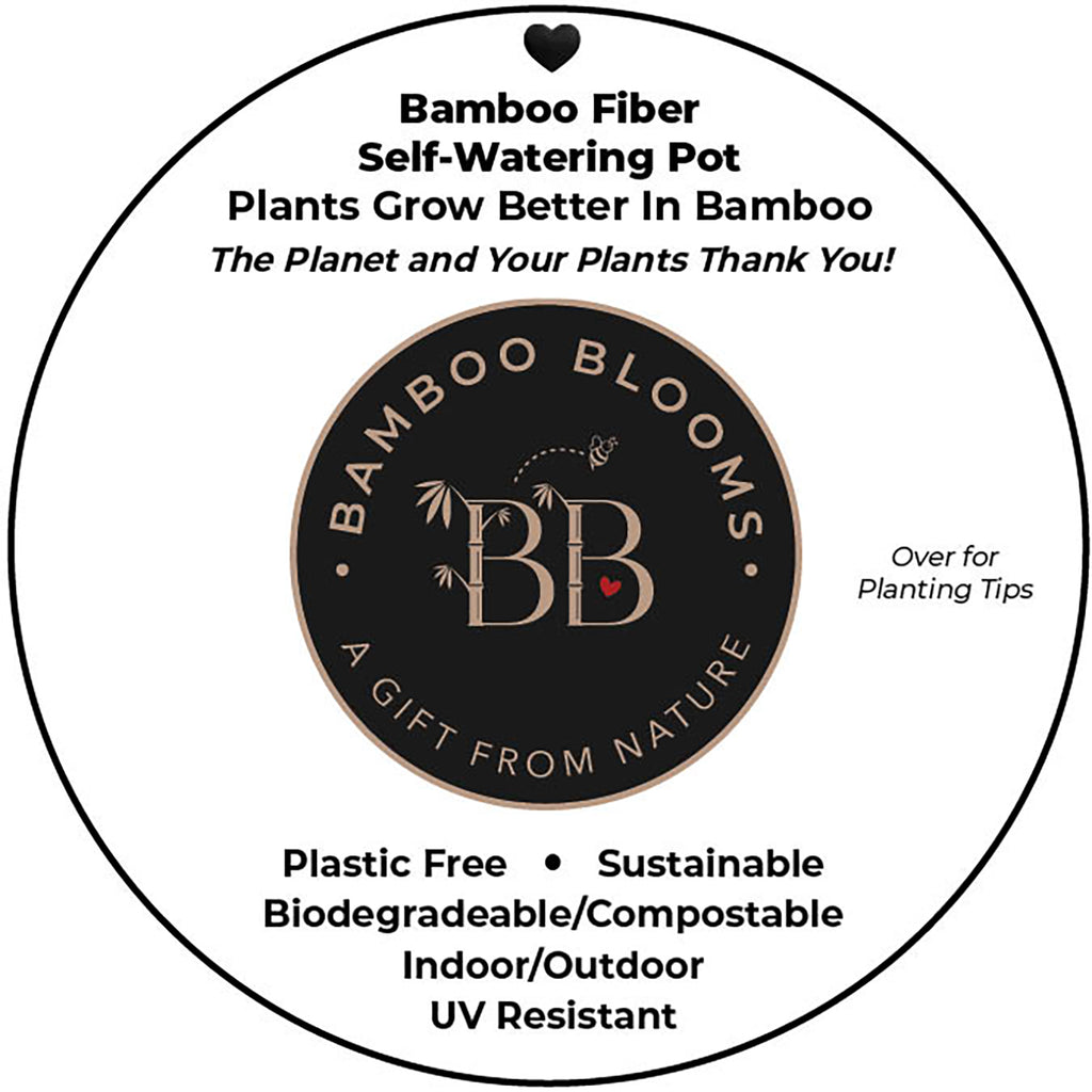 7" Indigo Flower Round Self-Watering Bamboo Pot