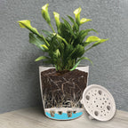 7" Indigo Flower Round Self-Watering Bamboo Pot