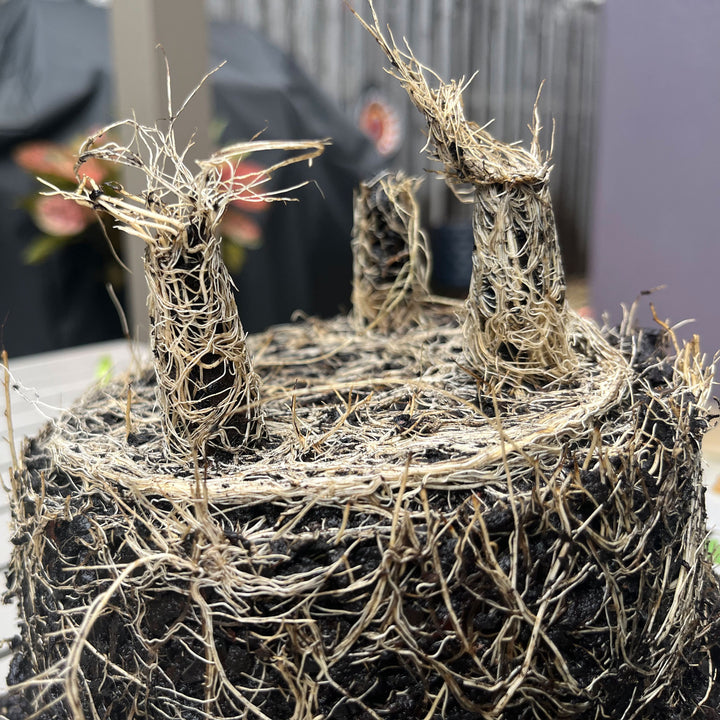 7" Indigo Flower Round Self-Watering Bamboo Pot