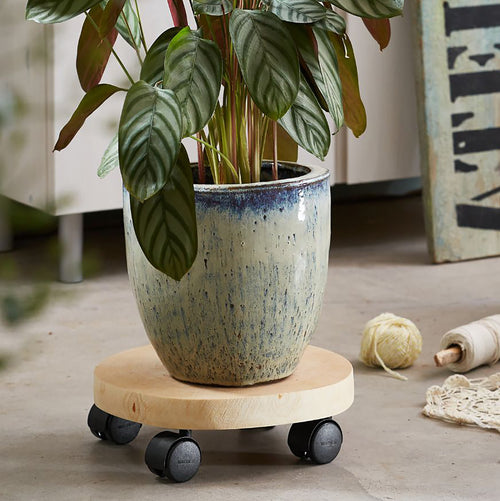 10" Natural Birch Round Wooden Plant Caddy