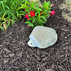 10" Boulder Turtle