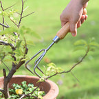 Stainless Steel Cultivator with Bamboo Handle