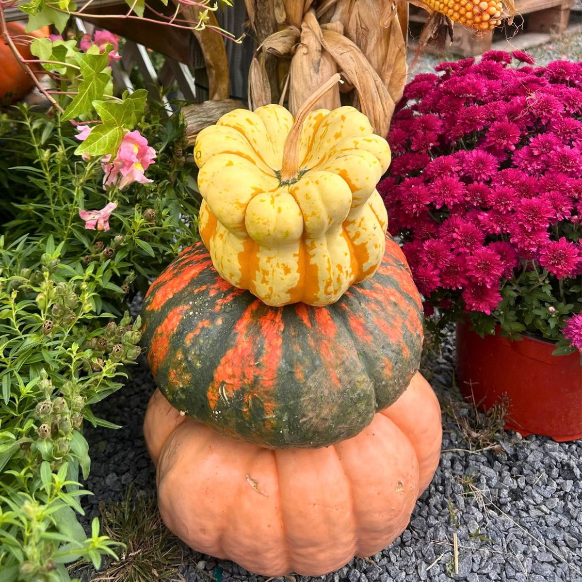 Small Pumpkin Stacker
