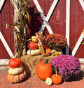 Silver Porch Package