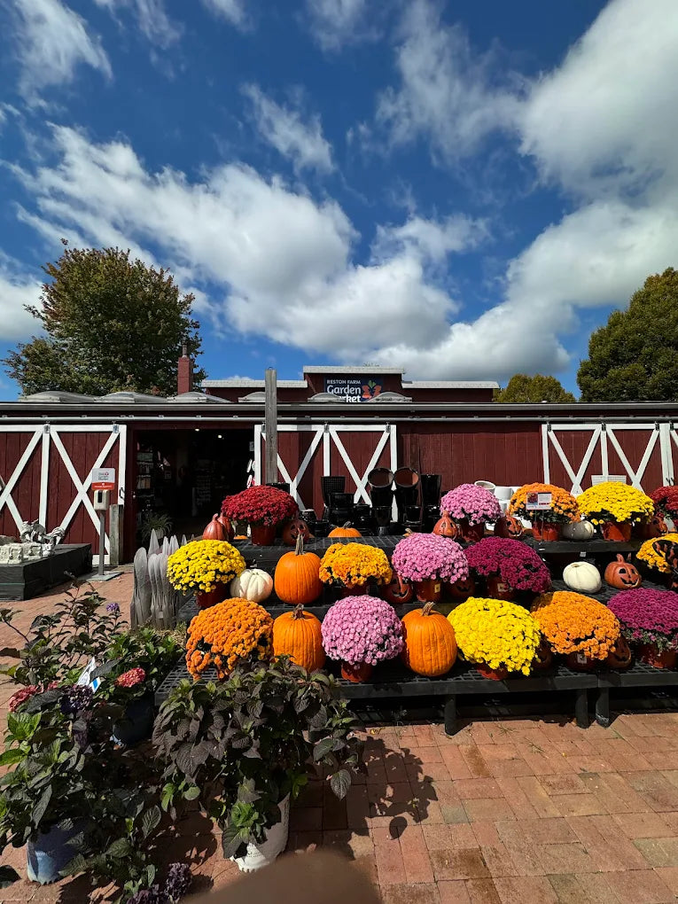 Reston Farm Garden Market