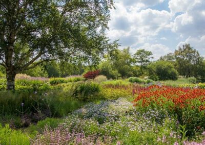 Garden Trends: Get Back to Nature and Go Wild!