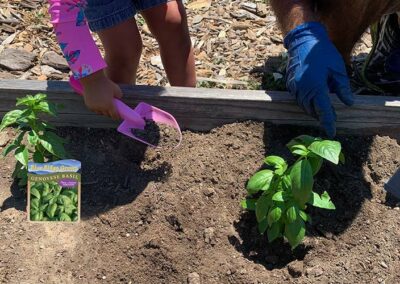 Reston Farm Garden Market Contributes to “Plant a Better Tomorrow” Program