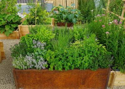 Herb Gardening: How to have a Scratch-and-Sniff Garden