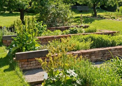 Layer Gardening: When You Can’t See the Forest For the Food