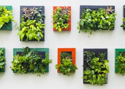 Things are Looking Up With Vertical Gardening