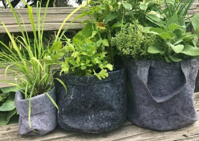 Easy Raised Beds and Container Gardening with Root Pouch