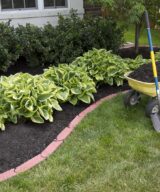 Black colored shredded mulch in landscape