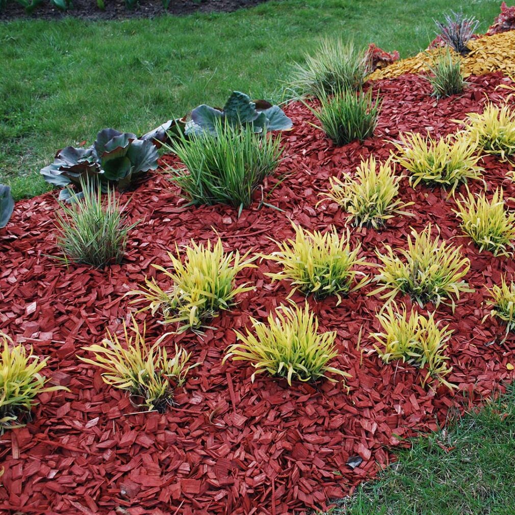 Red colored shredded mulch in landscape