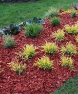 Red colored shredded mulch in landscape