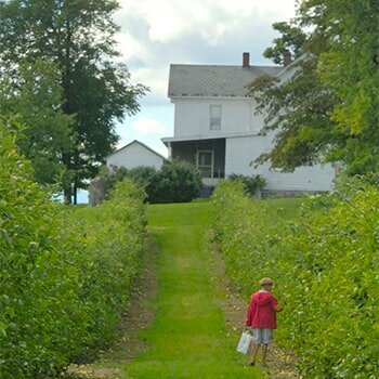 Rinker Orchard