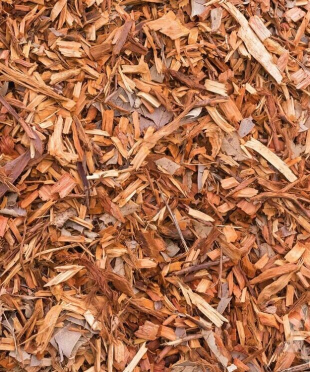 Shredded Hardwood & Colored Mulch for Sale Reston Farm Garden Market