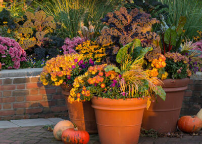 Fall in Love with These Autumn Garden Container Ideas